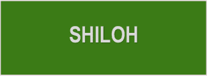 shiloh